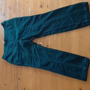 Anthropologie Deep Green Velour Pants Womans Size 8
